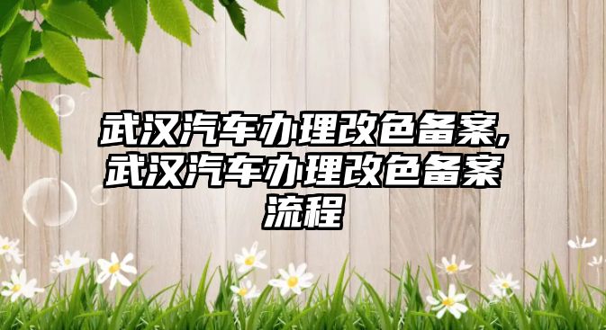 武漢汽車辦理改色備案,武漢汽車辦理改色備案流程