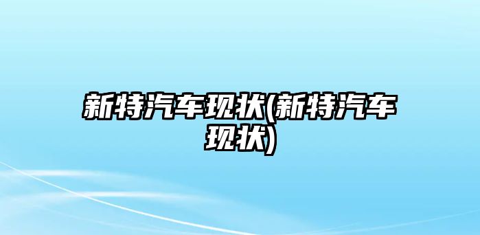 新特汽車現(xiàn)狀(新特汽車現(xiàn)狀)