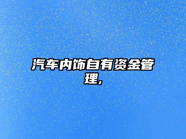 汽車內飾自有資金管理,
