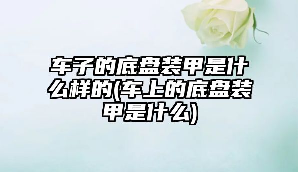 車子的底盤裝甲是什么樣的(車上的底盤裝甲是什么)