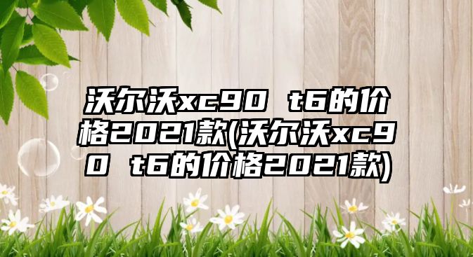 沃爾沃xc90 t6的價(jià)格2021款(沃爾沃xc90 t6的價(jià)格2021款)