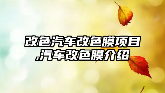 改色汽車改色膜項目,汽車改色膜介紹