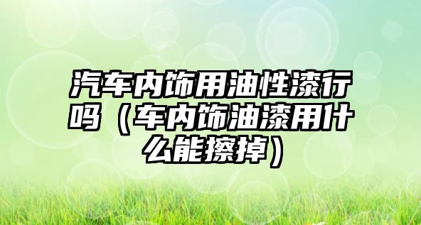 汽車內(nèi)飾用油性漆行嗎（車內(nèi)飾油漆用什么能擦掉）